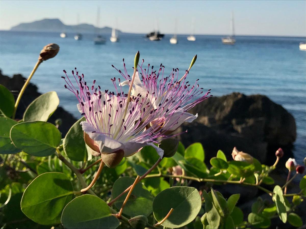 Zaffiro Lavico Rooms Etna Nature Sea Acireale Exterior photo